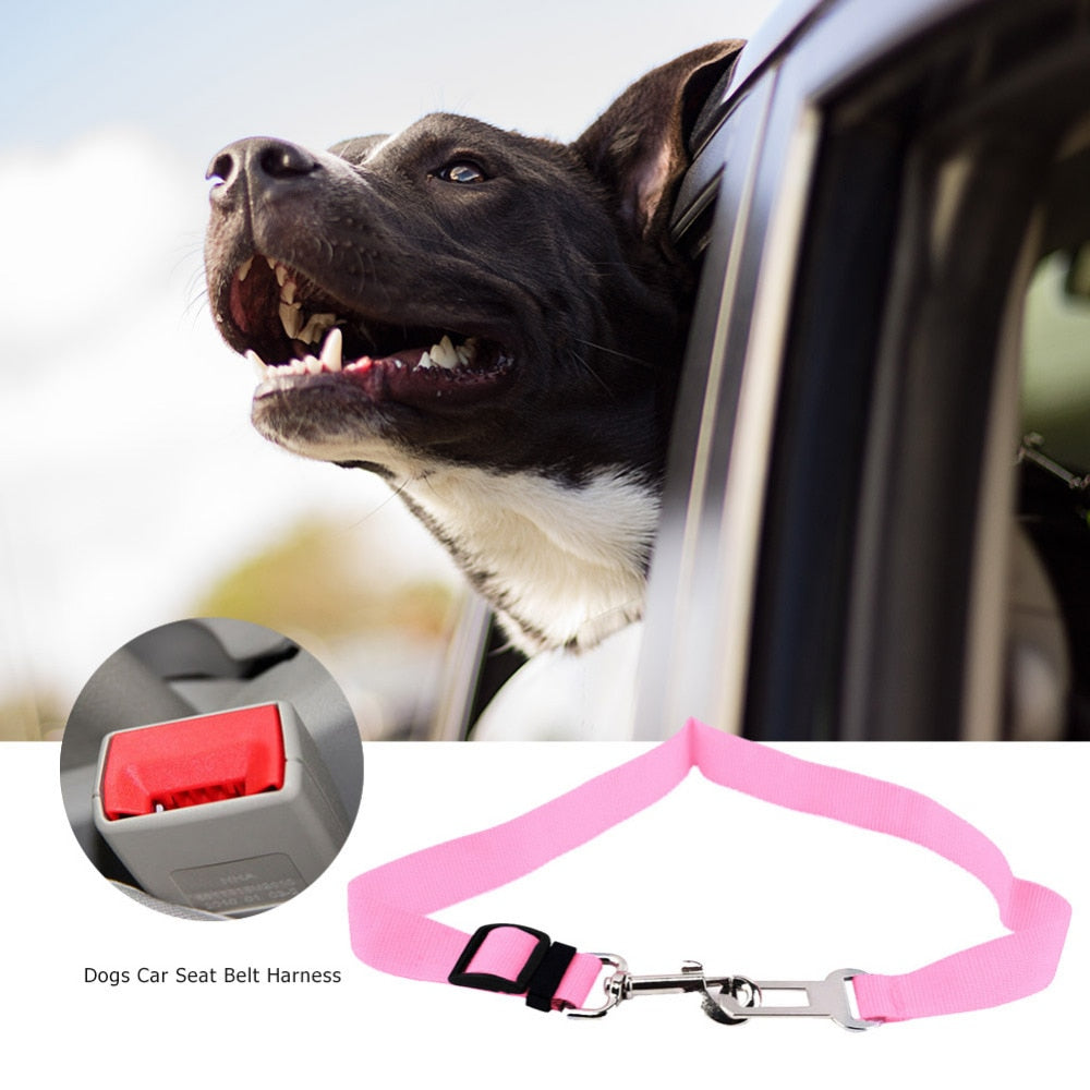 Adjustable Safety Pet Car Belt