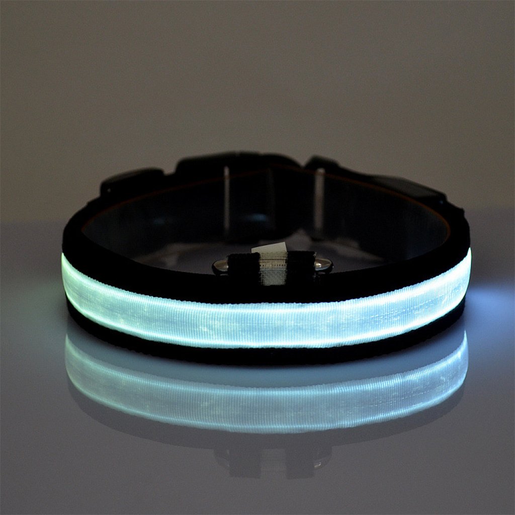 Nylon LED Dog Collar