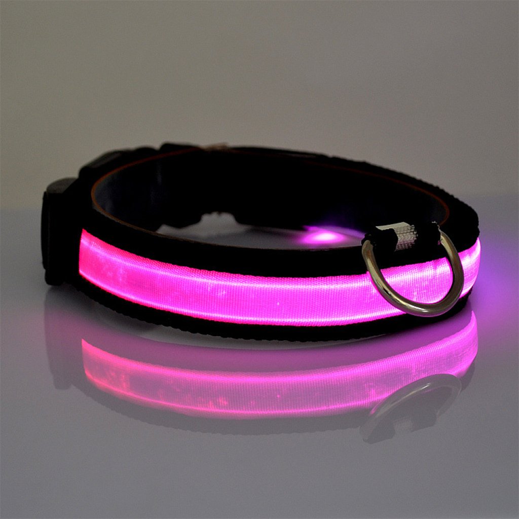 Nylon LED Dog Collar